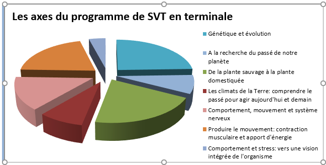 programme term